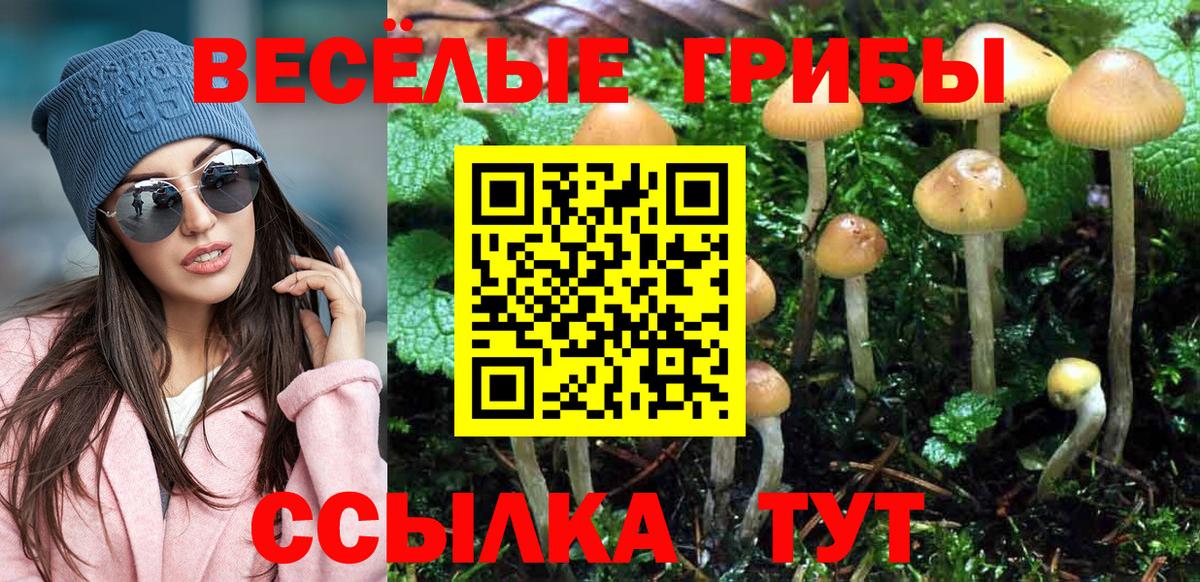 Галлюциногенные грибы Psilocybine cubensis Лабинск